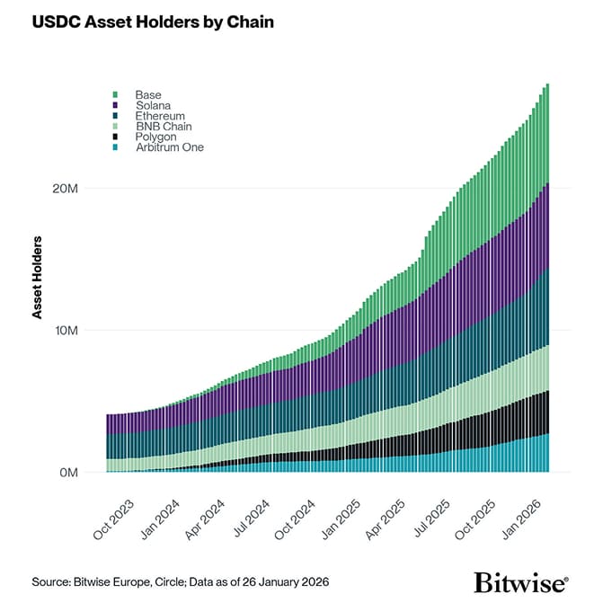 usdc asset holders by chain