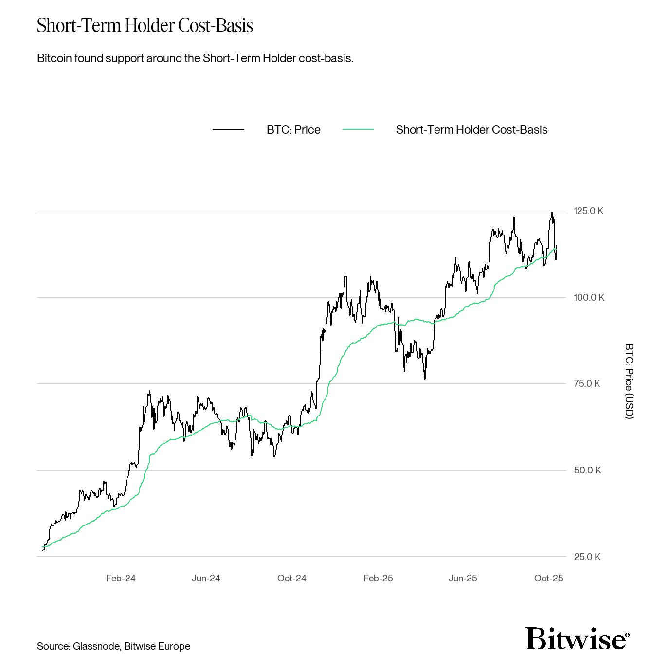 Short-Term Holder Cost-Basis