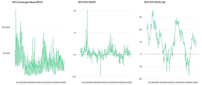 Crypto Market Compass OnChain Indicators