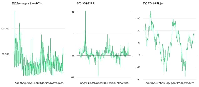 Crypto Market Compass OnChain Indicators