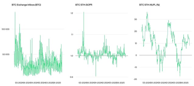 Crypto Market Compass OnChain Indicators