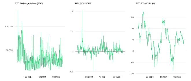 Crypto Market Compass OnChain Indicators