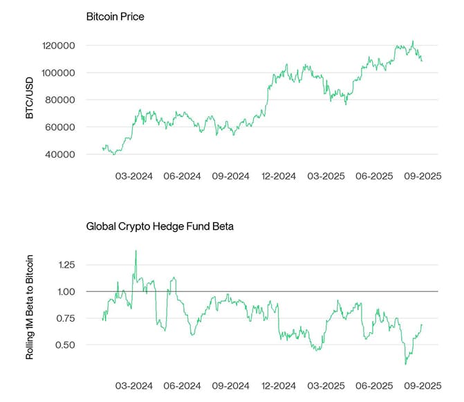 Bitcoin Price vs Hedge Fund Beta