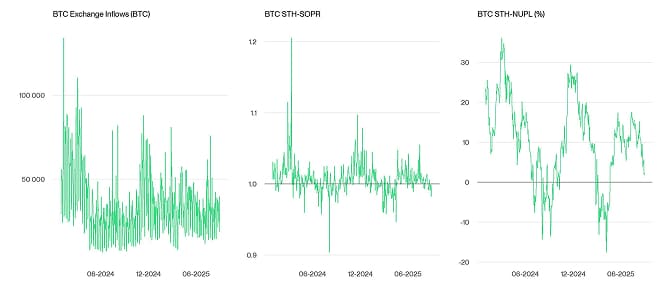 Crypto Market Compass OnChain Indicators