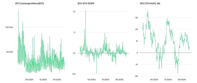 Crypto Market Compass OnChain Indicators