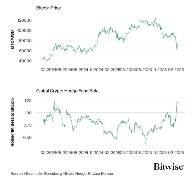 Bitcoin Price vs Hedge Fund Beta