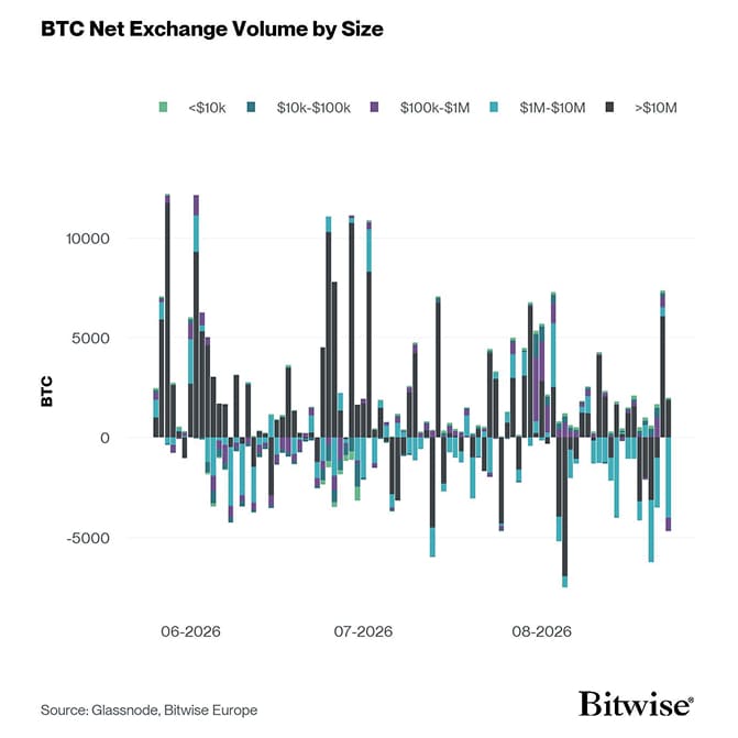 Bitcoin Net Exchange Volume by Size