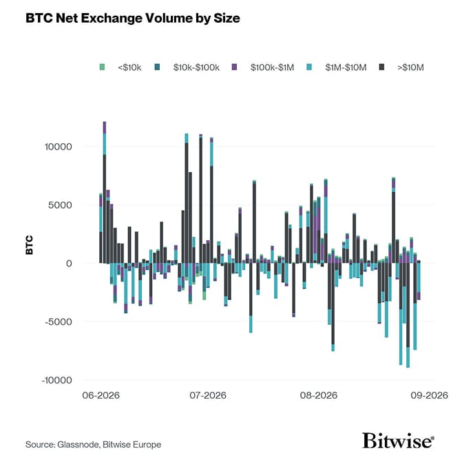 Bitcoin Net Exchange Volume by Size
