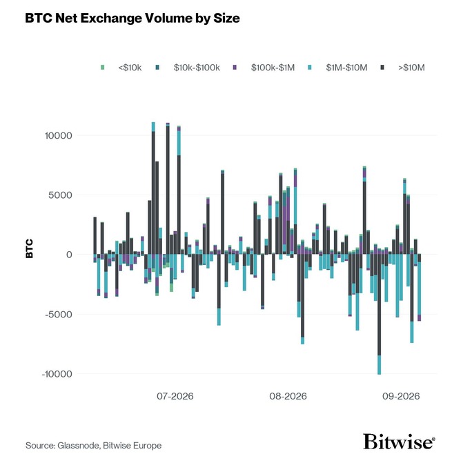 Bitcoin Net Exchange Volume by Size