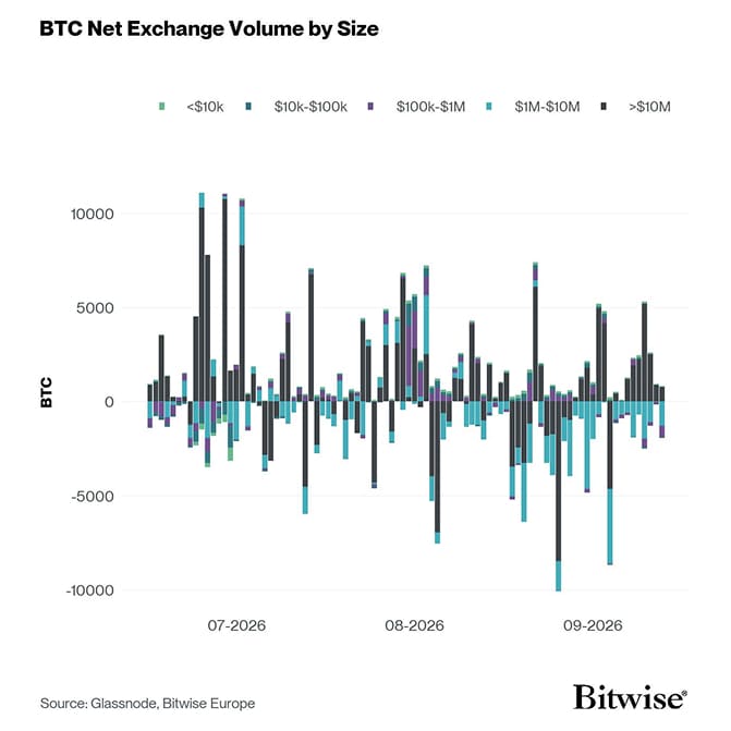 Bitcoin Net Exchange Volume by Size