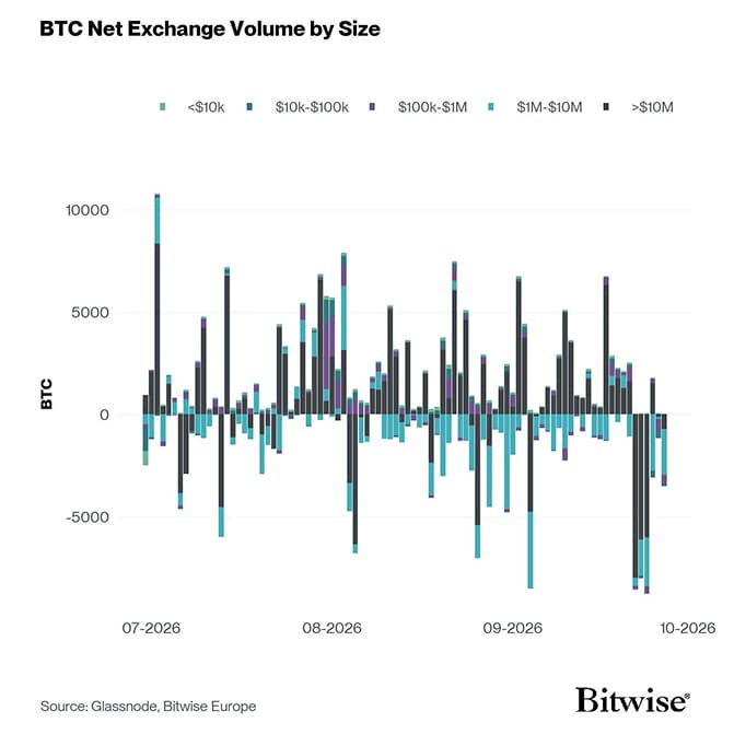 Bitcoin Net Exchange Volume by Size