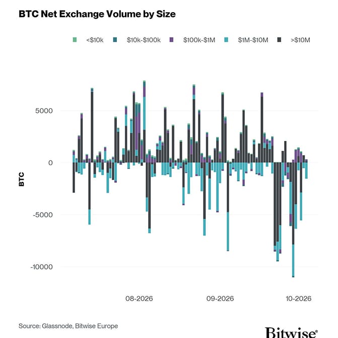 Bitcoin Net Exchange Volume by Size
