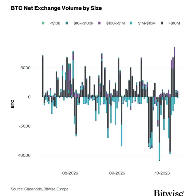 Bitcoin Net Exchange Volume by Size