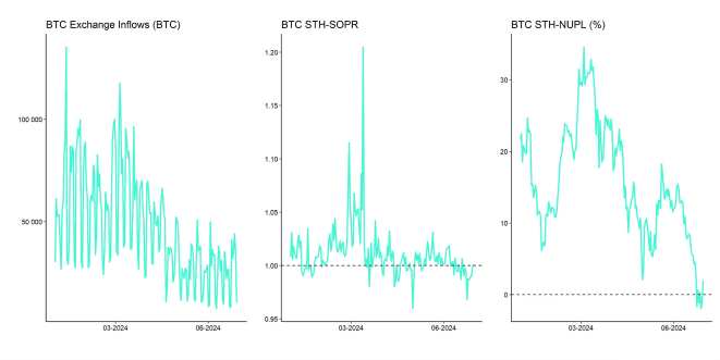 Crypto Market Compass OnChain Indicators