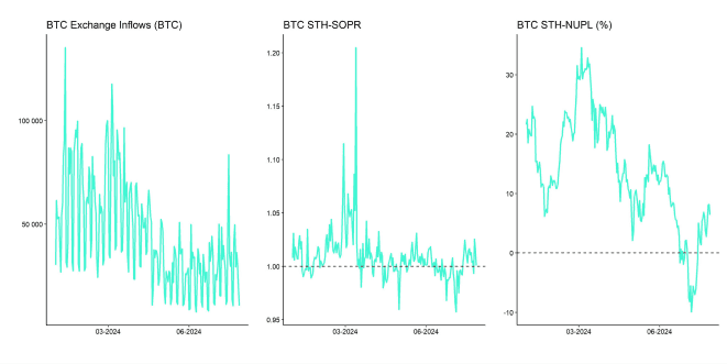 Crypto Market Compass OnChain Indicators