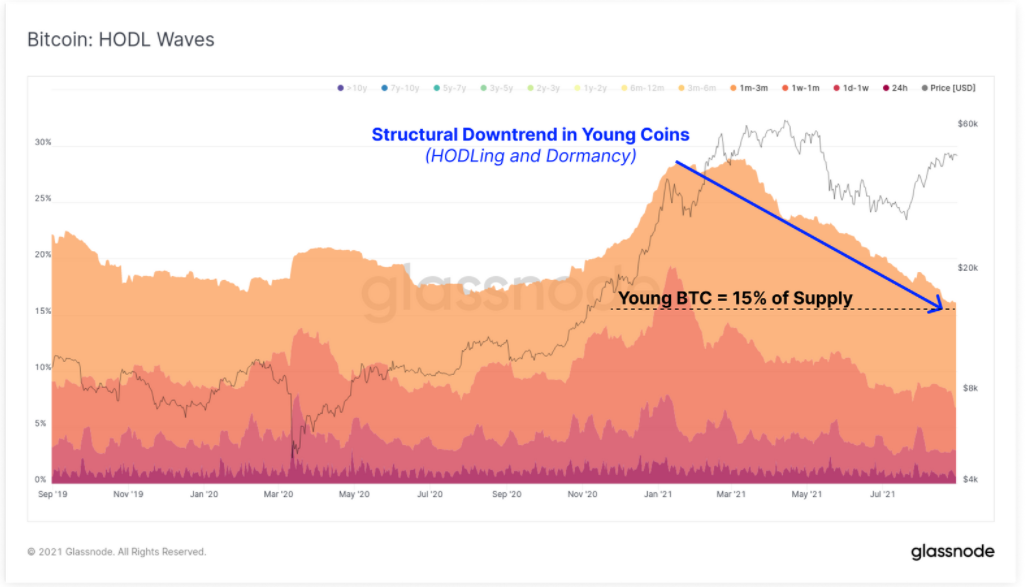Bitcoin: HODL Waves