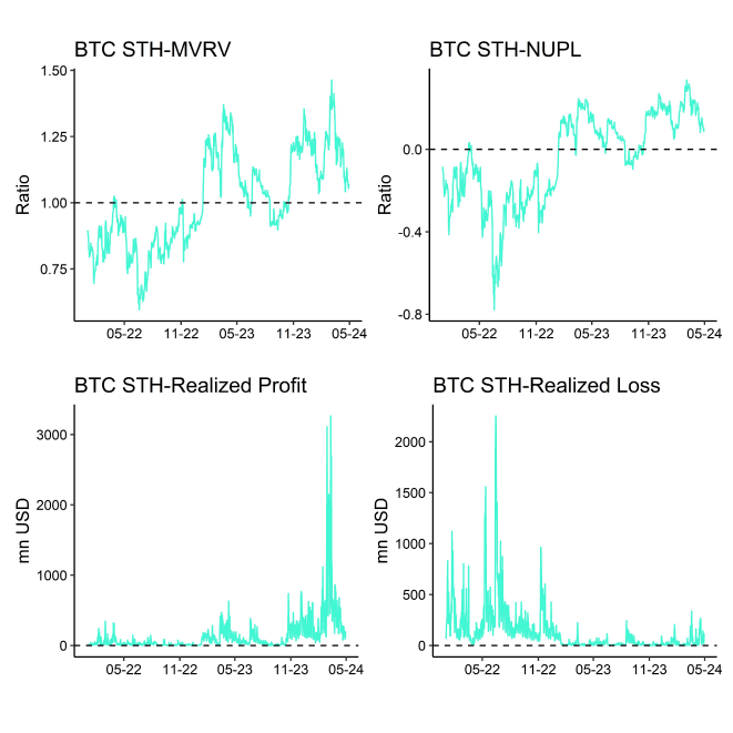 Bitcoin STH Dashboard Bitcoin STH Dashboard