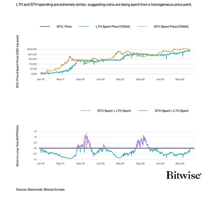 BTC STH vs LTH SOPR