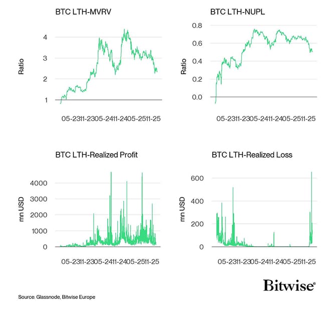 Bitcoin LTH Dashboard