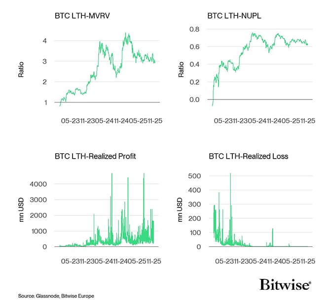 Bitcoin LTH Dashboard