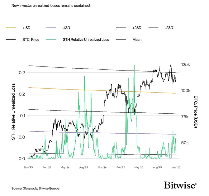 STH-Relative Unrealized Loss