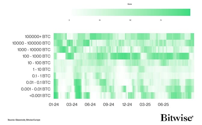 BTC Accumulation Score Heatmap