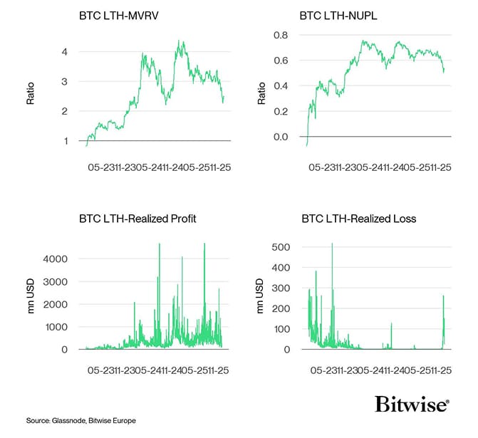 Bitcoin LTH Dashboard