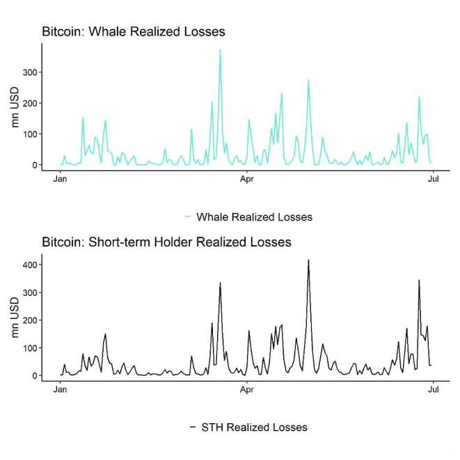 Large short-term holders have recently realized significant loses Large short-term holders have recently realized significant loses