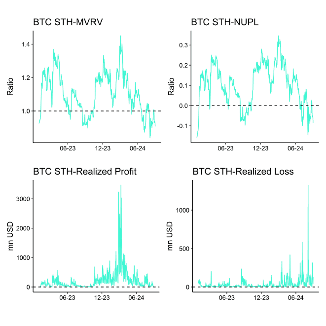 Bitcoin STH Dashboard Bitcoin STH Dashboard