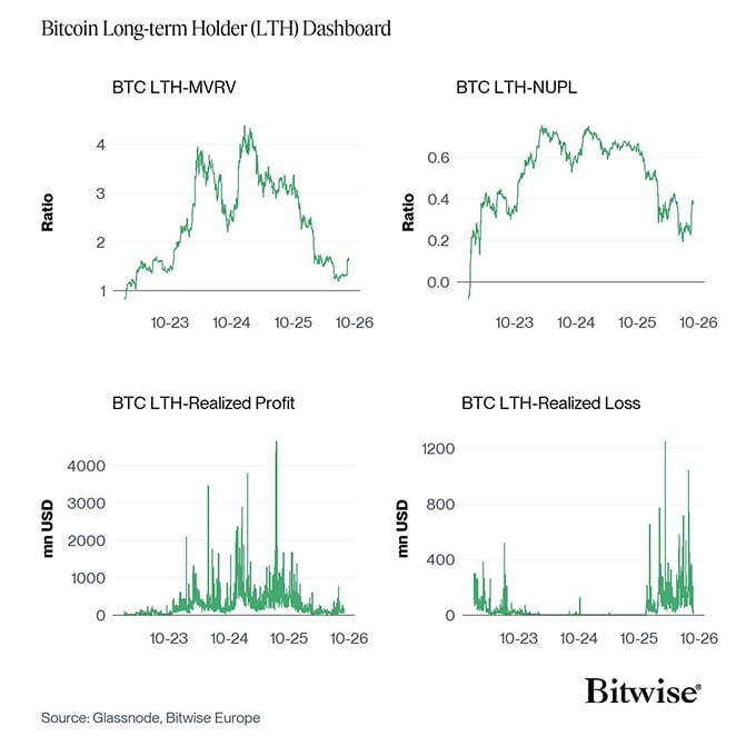 Bitcoin LTH Dashboard
