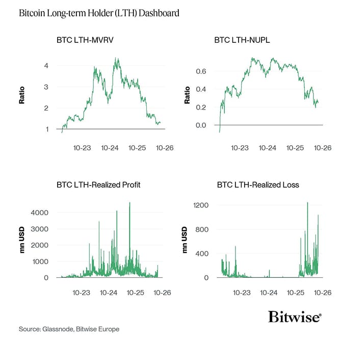 Bitcoin LTH Dashboard