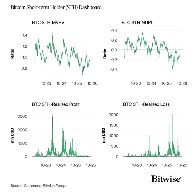 Bitcoin STH Dashboard