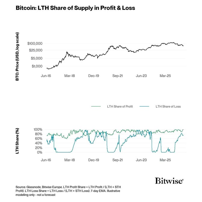 11 BTC Price Log - LTH Share Profit Loss