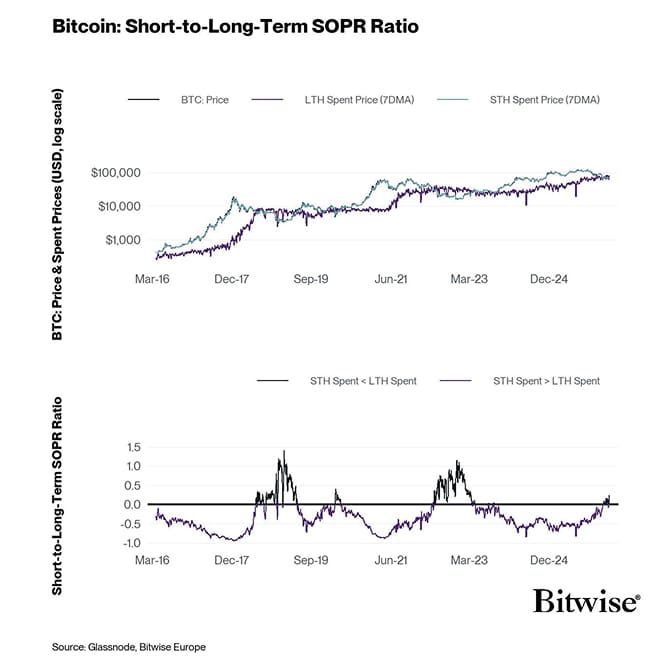 8 STH v LTH SOPR Ratio