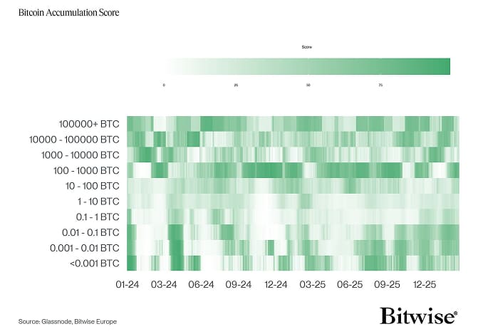 BTC Accumulation Score Heatmap