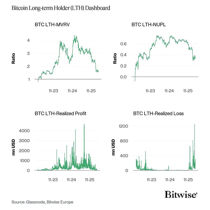 Bitcoin LTH Dashboard