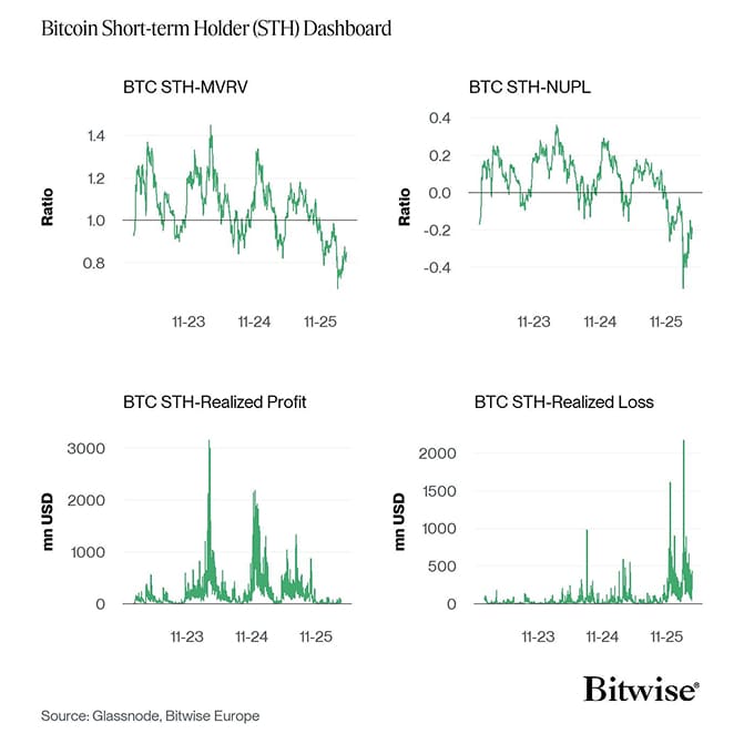 Bitcoin STH Dashboard