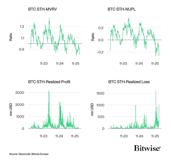 Bitcoin STH Dashboard