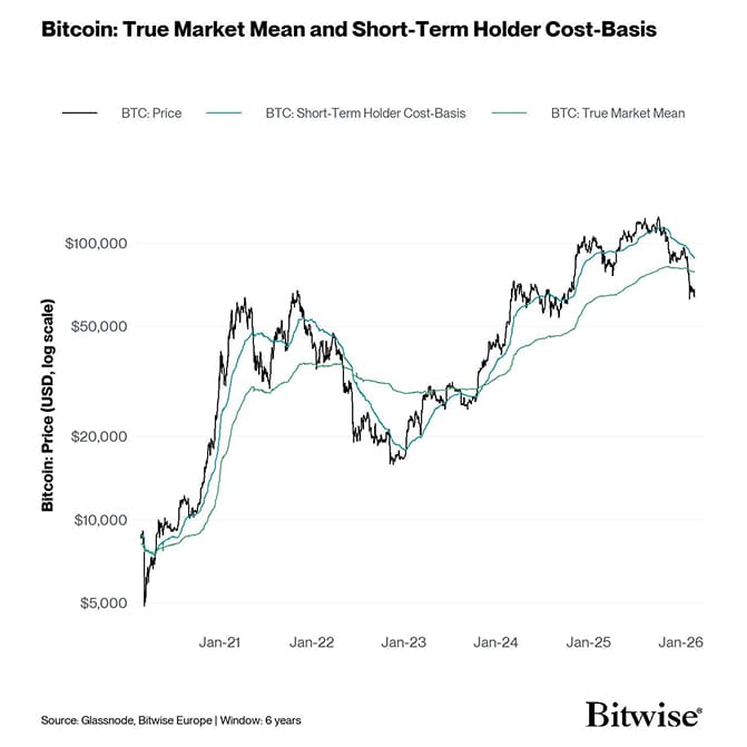 Short-Term Holder CB and True Market Mean