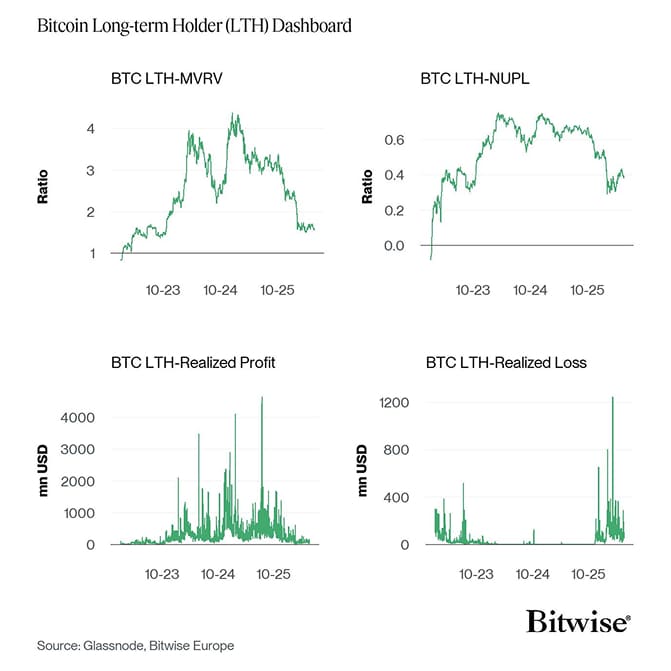 Bitcoin LTH Dashboard