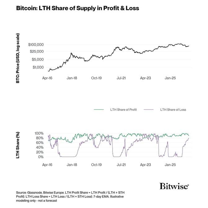 3 LTH Profit and Loss Share