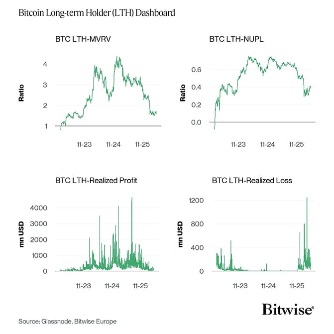 Bitcoin LTH Dashboard