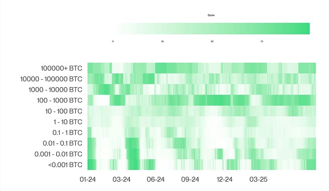 BTC Accumulation Score Heatmap
