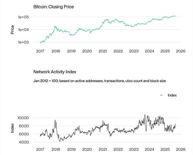 BTC Network Activity Index
