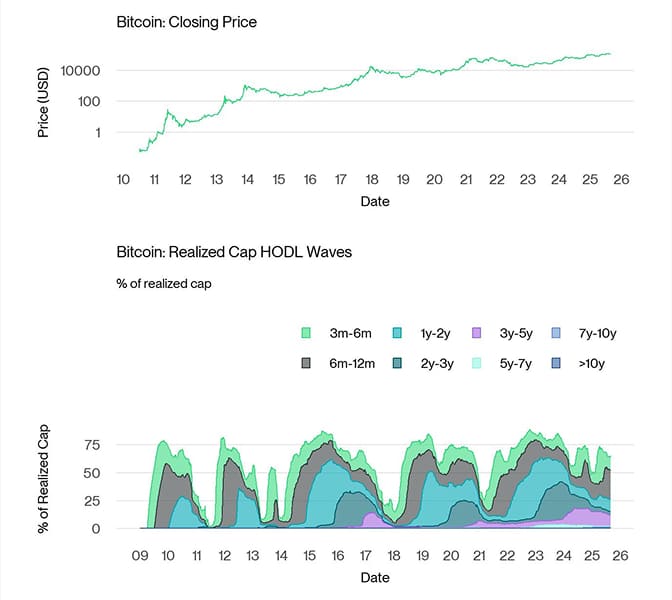 BTC Realized Cap HODL Waves