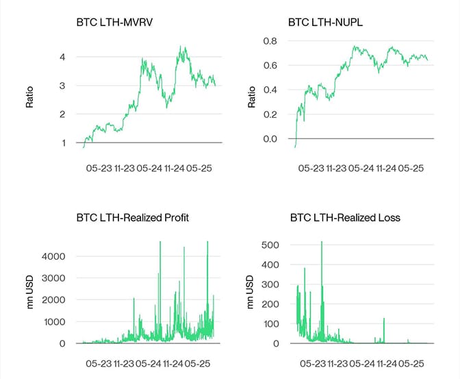 Bitcoin LTH Dashboard
