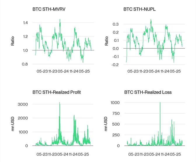 Bitcoin STH Dashboard