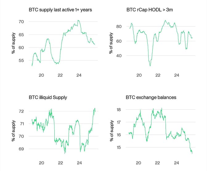 Bitcoin Supply Scarcity Dashboard