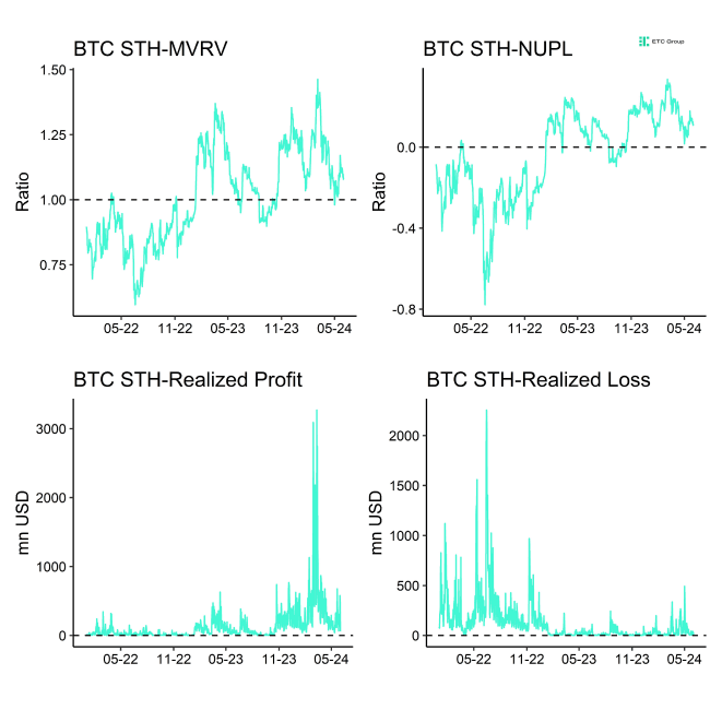 Bitcoin STH Dashboard Bitcoin STH Dashboard