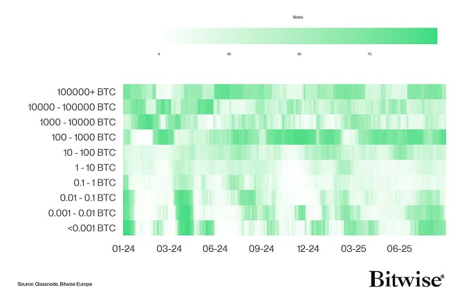 BTC Accumulation Score Heatmap
